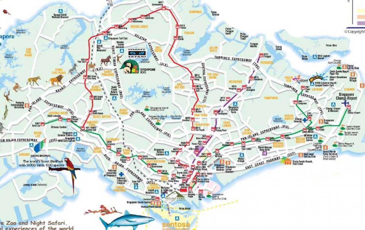 silniční mapa Singapuru
