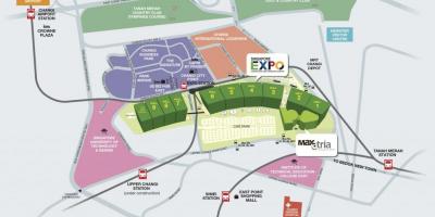 Mapa Singapore expo
